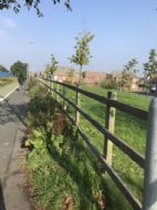 Click for all images